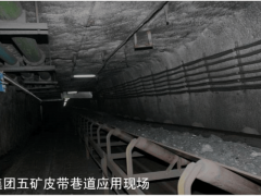 <strong>机巡检机械人实践案例分享</strong>